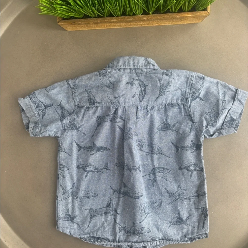 Alex & Jack Shark Adventure Kids Button Down Shirt Size 4T